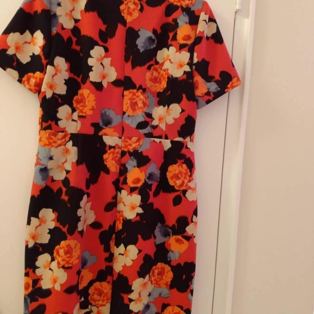 Dress - Picture 5 of 6